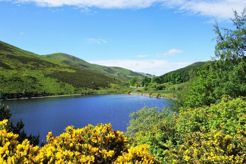 A short drive from Edinburgh takes you to the wilderness of the Pentlands, which can offer great stargazing opportunities. Drive up to one of the reservoirs, such as Glencorse (pictured), to have the best view of the night sky.