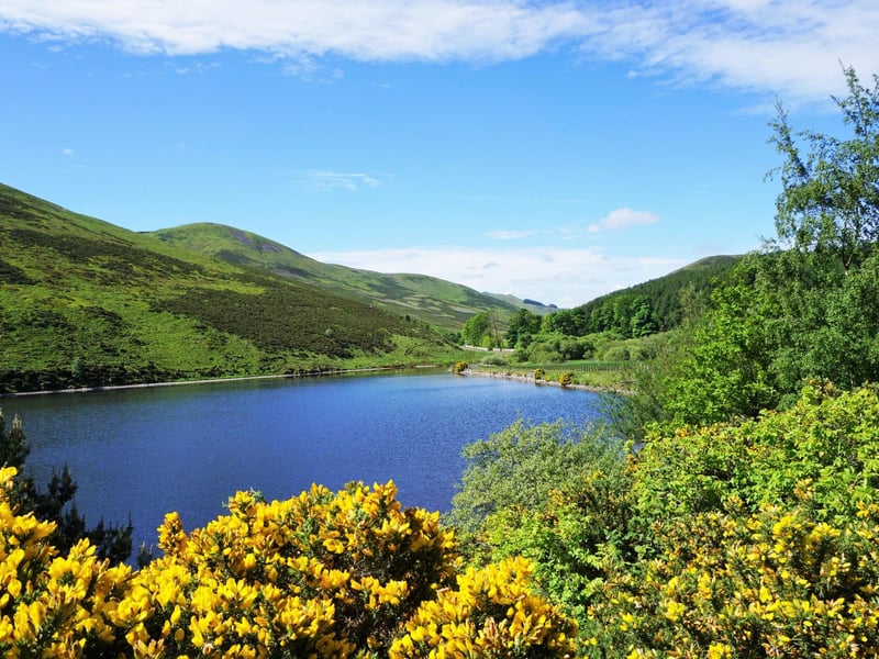 A short drive from Edinburgh takes you to the wilderness of the Pentlands, which can offer great stargazing opportunities. Drive up to one of the reservoirs, such as Glencorse (pictured), to have the best view of the night sky.