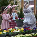 The Easter Bunny Afternoon Tea and Hopping Hounds are brand-new events at Dobbies this Easter