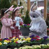 The Easter Bunny Afternoon Tea and Hopping Hounds are brand-new events at Dobbies this Easter