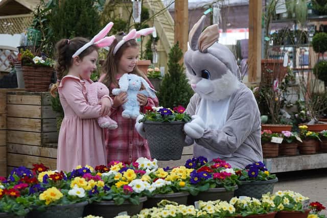 The Easter Bunny Afternoon Tea and Hopping Hounds are brand-new events at Dobbies this Easter
