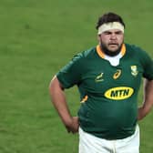 Frans Malherbe helped South Africa defeat the Lions last summer. (Photo by David Rogers/Getty Images)