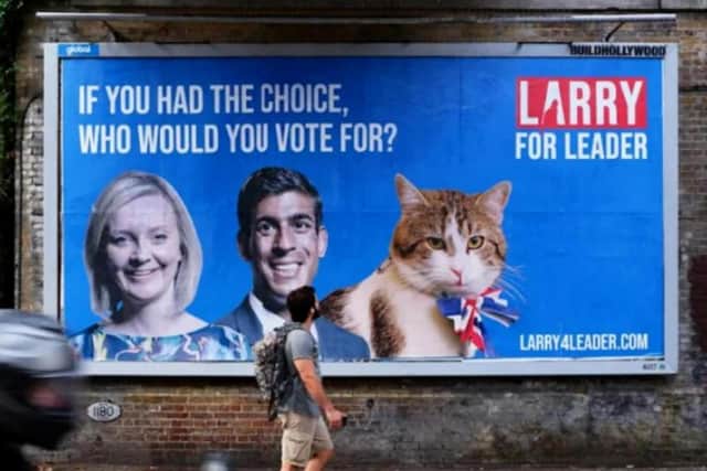 Larry for Leader billboards emerged across London in the Chief Mouser's bid to replace former PM Boris Johnson.