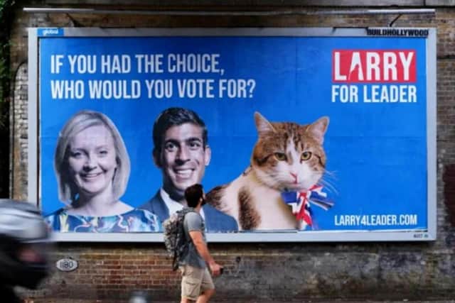 Larry for Leader billboards emerged across London in the Chief Mouser's bid to replace former PM Boris Johnson.