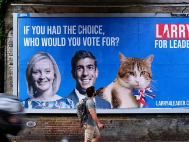 Larry for Leader billboards emerged across London in the Chief Mouser's bid to replace former PM Boris Johnson.
