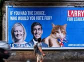 Larry for Leader billboards emerged across London in the Chief Mouser's bid to replace former PM Boris Johnson.