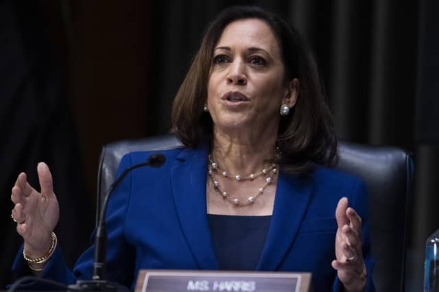 Senator Kamala Harris of California is the bookmakers' favourite to be Joe Biden's choice as his Vice-President (Picture: Tom Williams/CQ roll call/pool via AP)