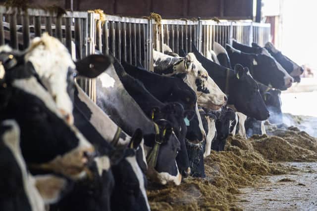 Ayrshire saw the biggest decrease with a net loss of 15 herds, followed by Dumfriesshire with a net loss of 5 herds.  