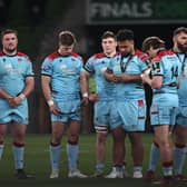 The dejected Glasgow Warriors players look at their medals following the 43-19 defeat by Toulon in Dublin.
