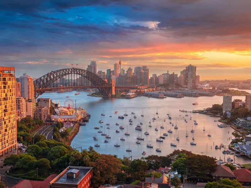 Like their neighbours in New Zealand, Australia has a very high number of vets - 91.3 per million population.