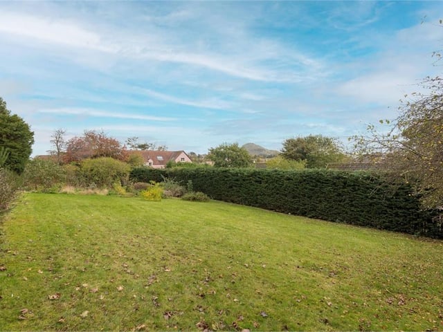Rear garden.