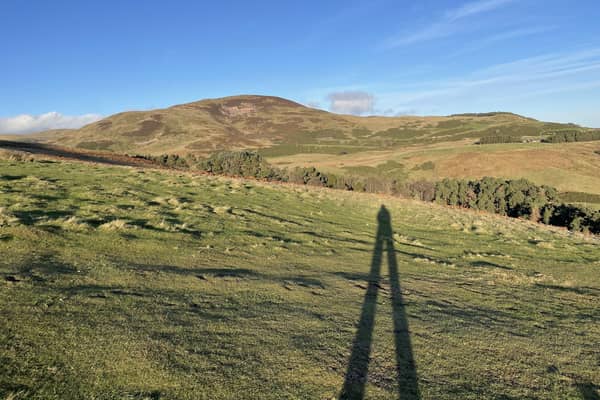 Where are we at with protecting Scotland's biodiversity?  (pic: Katharine Hay/The Scotsman)