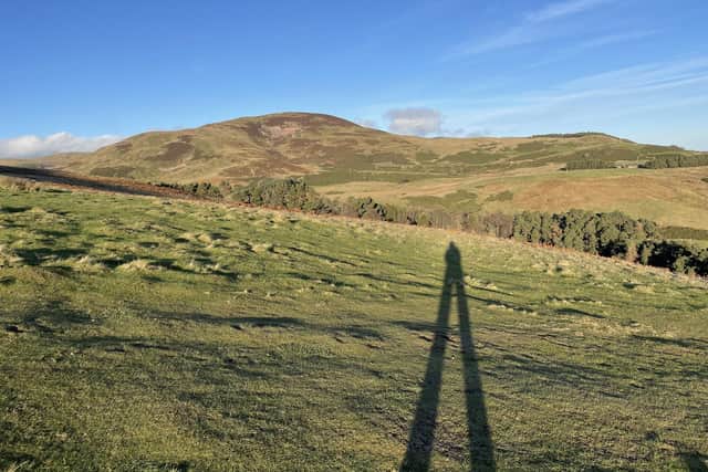 Where are we at with protecting Scotland's biodiversity? (pic: Katharine Hay/The Scotsman)
