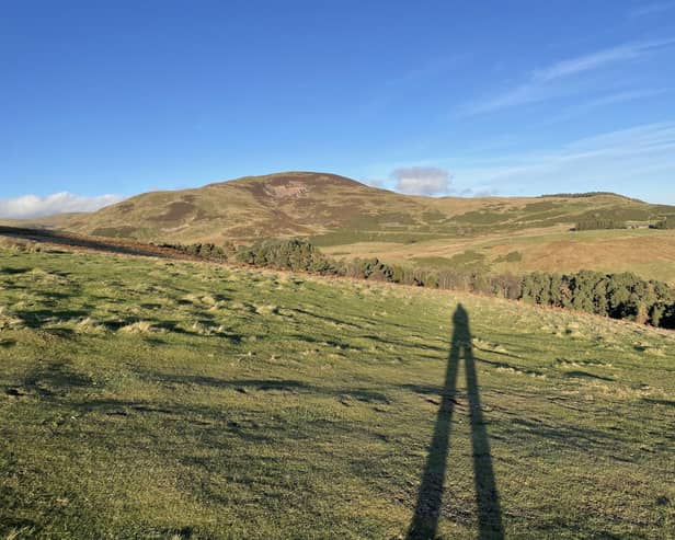 Where are we at with protecting Scotland's biodiversity?  (pic: Katharine Hay/The Scotsman)