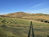Where are we at with protecting Scotland's biodiversity?  (pic: Katharine Hay/The Scotsman)