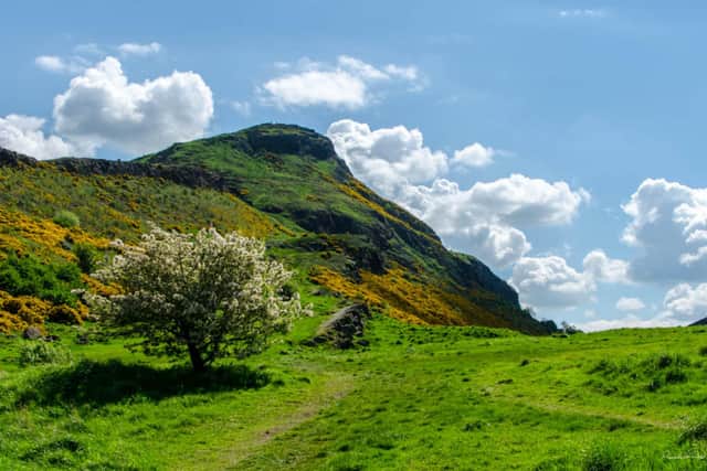 Arthur's Seat in Holyrood Park, which attracts up to 5m visitors a year. PIC:  City and Color/Flickr/CC