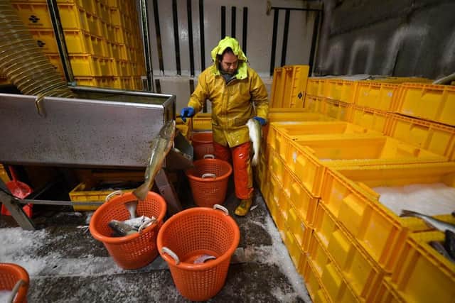 Fishing is traditionally one of Scotland's most important industries (Picture: Jeff J Mitchell/Getty Images)