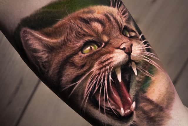 Photo-realist cat by Marcin Ptak of Absolutel Body Art, Edinburgh