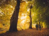 Lady Mary's Walk near Crieff