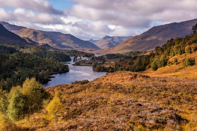 Glen Affric combines native woods with vast moorland and sparkling lochs (Picture: Shutterstock)