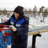 Revenues from Russian gas help to fund Vladimir Putin's war on Ukraine (Picture: Wojtek Laski/AFP via Getty Images)