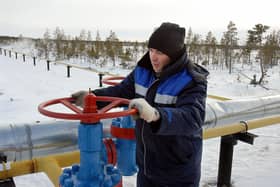 Revenues from Russian gas help to fund Vladimir Putin's war on Ukraine (Picture: Wojtek Laski/AFP via Getty Images)