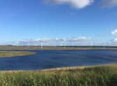 Scotland has Europe's largest windfarm, Whitelee, near Eaglesham in East Renfrewshire.