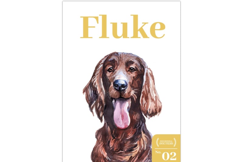 Fluke is about a family man… well, a dog that used to be a man. Tom (Matthew Modine) comes back reincarnated as a stray pup called Fluke and works to piece together his past life. Number two on our list of most emotional dog films will make you tear up several times for a variety of reasons but it is perhaps Fluke’s best pal Rumbo (Samuel L. Jackson) who will stick around in your memory.