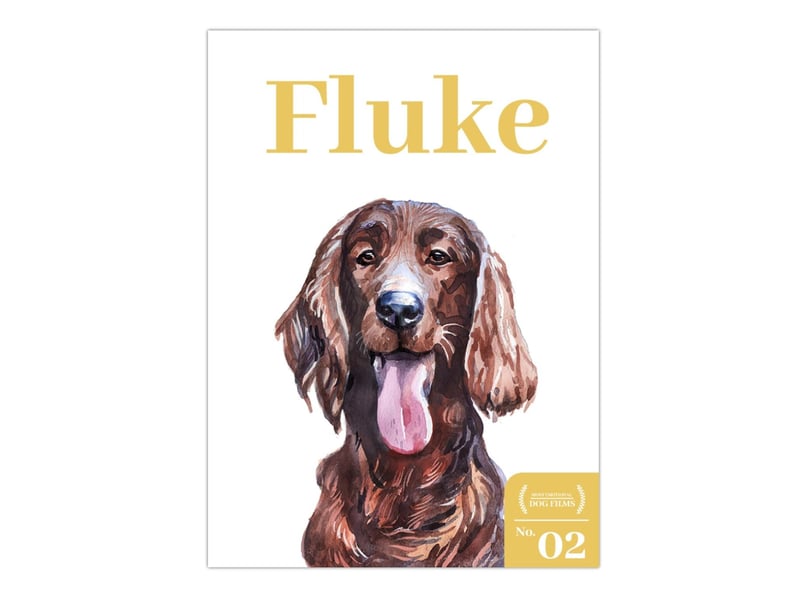Fluke is about a family man… well, a dog that used to be a man. Tom (Matthew Modine) comes back reincarnated as a stray pup called Fluke and works to piece together his past life. Number two on our list of most emotional dog films will make you tear up several times for a variety of reasons but it is perhaps Fluke’s best pal Rumbo (Samuel L. Jackson) who will stick around in your memory.
