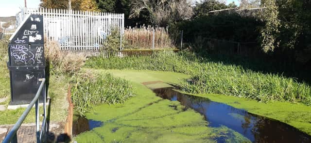 Several sections of the canal are piped through culverts. Picture: The Scotsman