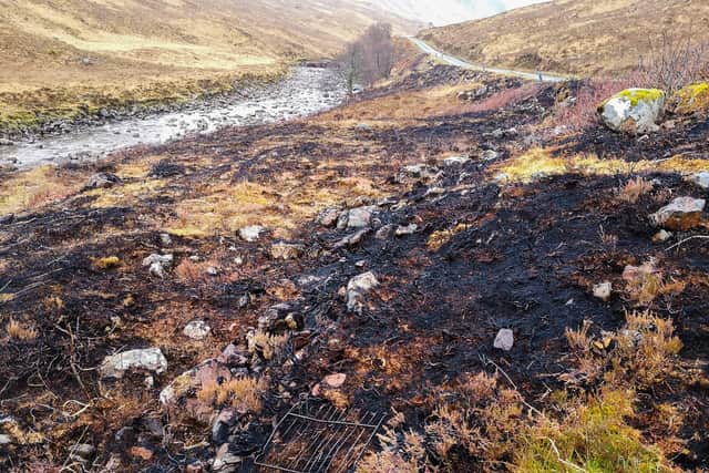 Damage caused by a fire in Glen Etive which was found by National Trust Scotland rangers as they were patrolling the area (National Trust Scotland)