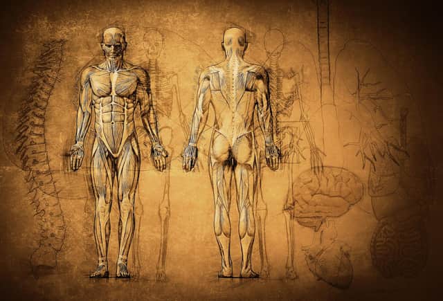 Human dissection is a vital experience for young doctors