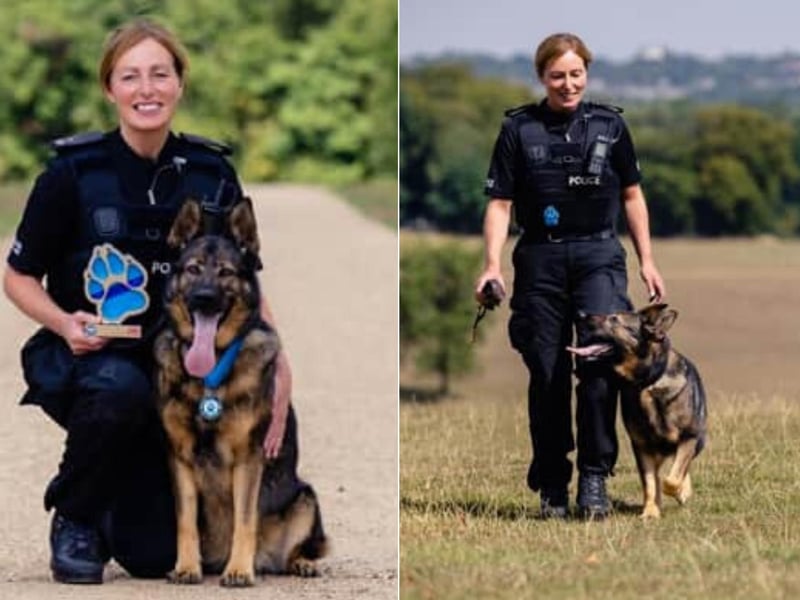 A police dog named Luna that saved 38 lives over her 8-year career was honoured at the Thin Blue Paw Awards this year. The now 10-year-old German Shepherd was partnered with police officer Linda McBride back in December 2012 and the duo have always taken care of each other. Following her retirement, Luna has since enjoyed her first ever vacation as she enjoyed playtime at the beach while swimming in the sea.