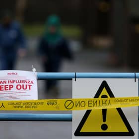 New cases of bird flu have been confirmed on sites with kept birds in Aberdeenshire and Dumfries and Galloway (pic: Andrew Milligan/PA)