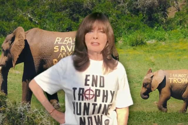 Vicki Michelle has recorded a hard hitting video for the Ban Trophy Hunting campaign - Animal News Agency