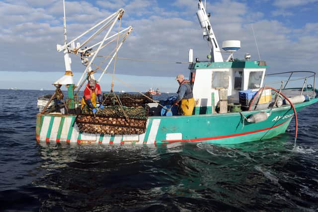 Scallop dredging is considered one of the most damaging forms of fishing.