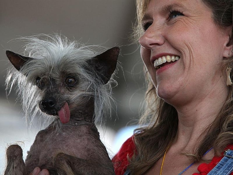 Dawn Goehring, of Tennessee, holds her dog Miss Ellie, a Chinese Crested Hairless dog, during the 21st Annual World's Ugliest Dog Contest in 2009. Miss Ellie had previously won Animal Planet's World's Ugliest Dog contest.