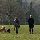 'National Trusters' are apparently women who 'spend their weekends walking in the countryside with their dogs' (Picture: Dan Kitwood/Getty Images)