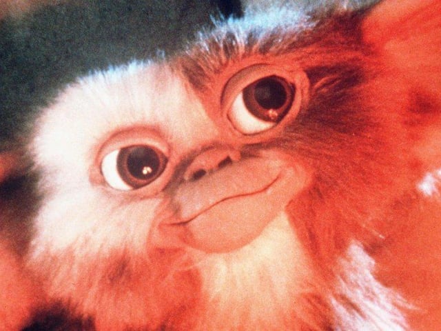 "First of all, keep him out of the light, he hates bright light, especially sunlight, it'll kill him. Second, don't give him any water, not even to drink" - you got that? Good, now go watch 1980's classic Gremlins.