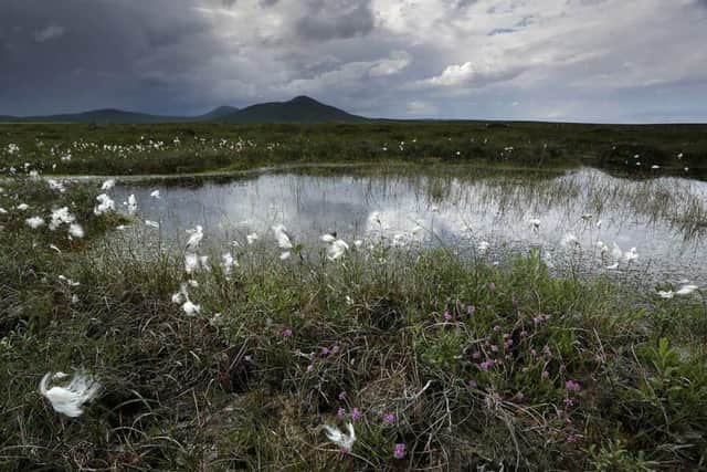 The campaign to secure World Heritage Site status for Scotland’s Flow Country has entered a new phase with the formal submission of the formal nomination dossier to UNESCO.