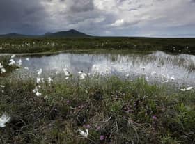 The campaign to secure World Heritage Site status for Scotland’s Flow Country has entered a new phase with the formal submission of the formal nomination dossier to UNESCO.