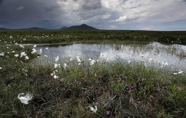 The campaign to secure World Heritage Site status for Scotland’s Flow Country has entered a new phase with the formal submission of the formal nomination dossier to UNESCO.
