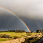 Bamff Estate is spearheading a ground-breaking rewilding project to help boost diversity and benefit the environment on farmland in Perthshire