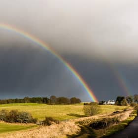 Bamff Estate is spearheading a ground-breaking rewilding project to help boost diversity and benefit the environment on farmland in Perthshire
