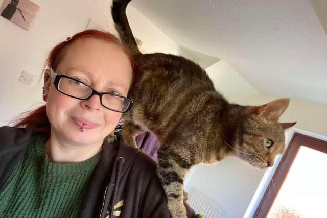 Katie Gwilt is giving Scottish pet lovers five key tips to help their rescue cat settle in - Animal News Agency