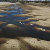 A drought in Rosario, Argentina has seen areas of the Parana river basin, which provides drinking water for close to 40 million people in South America, dry up - environmentalists believe climate change, diminishing rainfall, deforestation and the advance of agriculture is to blame