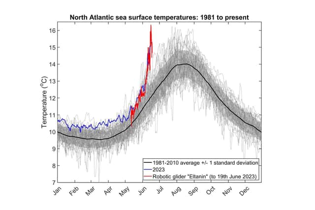 This graph showing sea temperatures in the north Atlantic going back to 1981 shows how dramatically warmer the waters were during the 'unprecedented' marine heatwave in June 2023