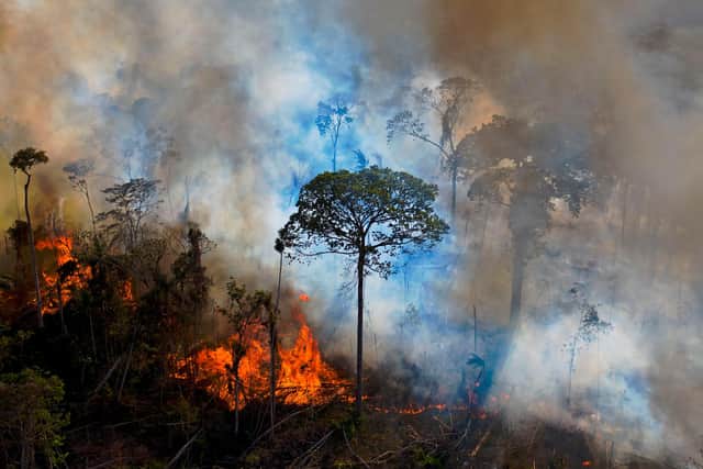 Smoke rises from an illegally lit fire in Amazon rainforest reserve, south of Novo Progresso in Para state, Brazil (Picture: Carl de Souza/AFP via Getty Images)