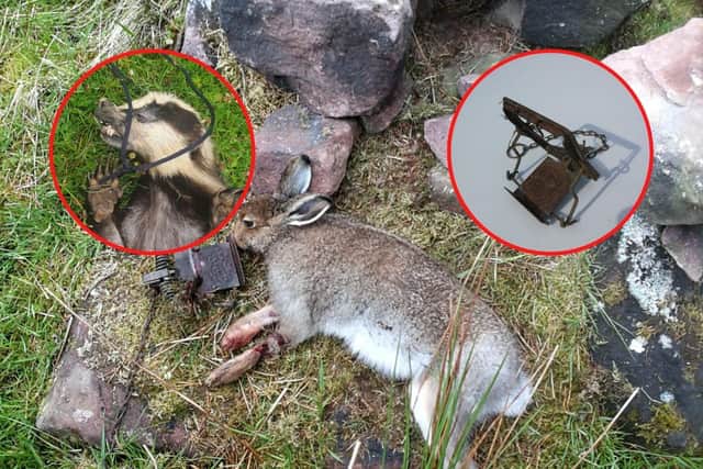 Investigators are also hunting the killers of a hare, whose mutilated body was found in a spring trap in the Pentland Hills on June 18.