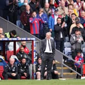 Roy Hodgson has returned to Crystal Palace as manager. (Photo by Warren Little/Getty Images)